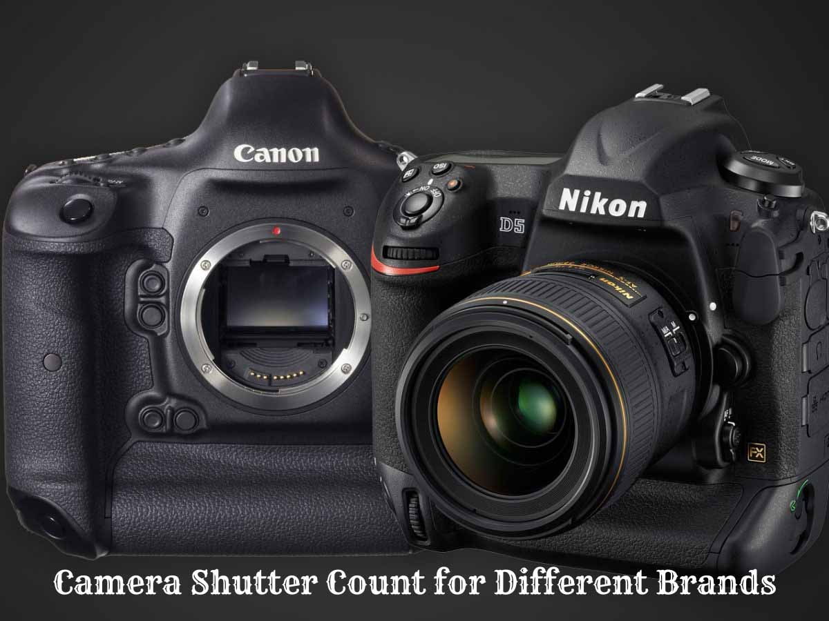 how to check camera shutter count in photoshop Camera Shutter Count for Different BrandS