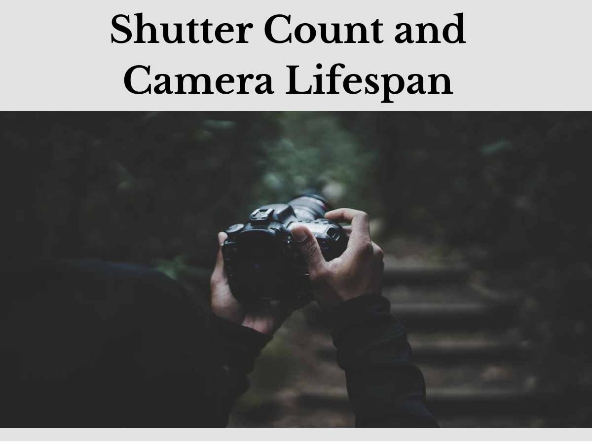 Shutter Count and Camera Lifespan