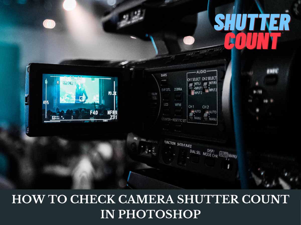 how to check camera shutter count in photoshop